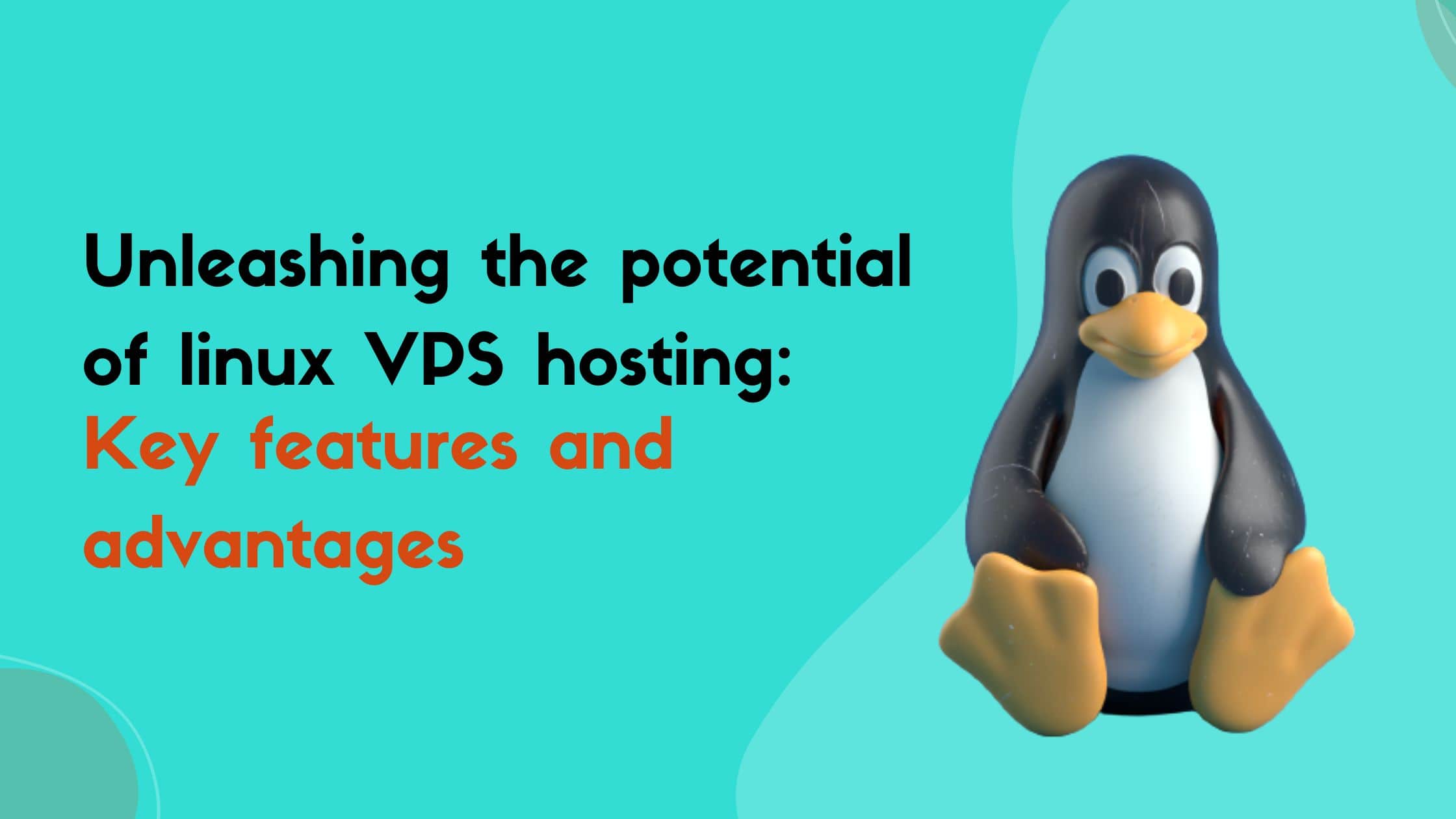 Unleashing the potential of linux VPS hosting Key features and advantages